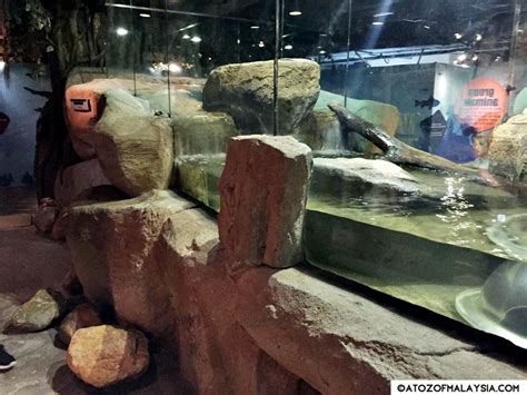 Otter Den, Aquaria KLCC - A to Z of Malaysia