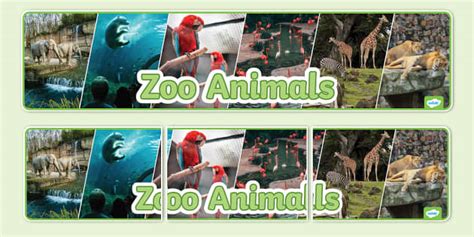 Zoo Animals Photo Display Banner (teacher made) - Twinkl