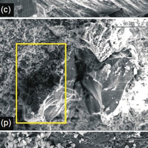 Scanning Electron Microscopy Images A Detail In The Box Silty Size