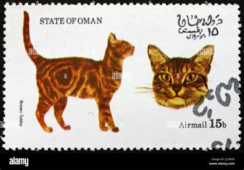 OMAN CIRCA 1973 A Stamp Printed In State Of Oman Shows Brown Tabby