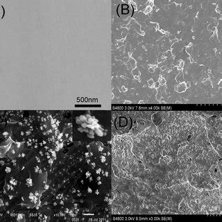 A Cyclic Voltammograms Of SOX AgNPs Graphene Chitosan GCE In 0 1 M