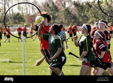 Harry Potter Quidditch Teams