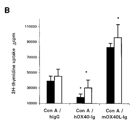 A Up Regulation Of Ox40 On Con A Stimulated Cells Facs Analysis Of