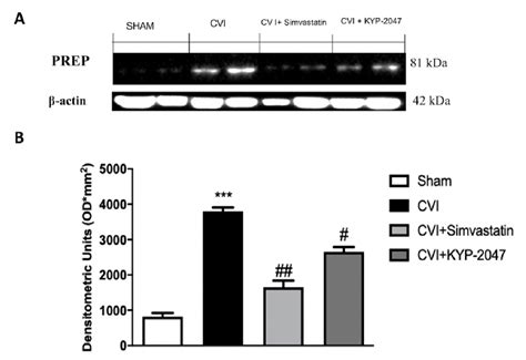 Figure 1 From The Inhibition Of Prolyl Oligopeptidase As New Target To