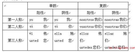 【西语语法完整版】主语人称代词西语语法完整版西班牙语语法西班牙语学习网