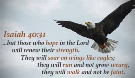 I Will Soar on Wings like Eagles - Inspirations