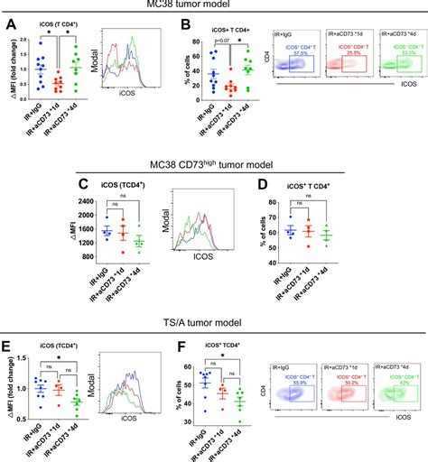 Optimal Dosing Regimen Of Cd73 Blockade Improves Tumor Response To