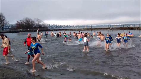 Polar Bear Plunge 2017 Youtube