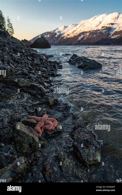 Kachemak Bay State Marine Park Hi Res Stock Photography And Images Alamy