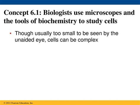 Chapter 6 A Tour Of The Cell Ppt Download