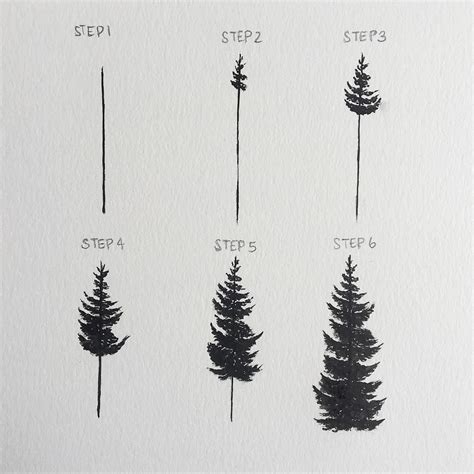 How To Draw A Realistic Pine Tree