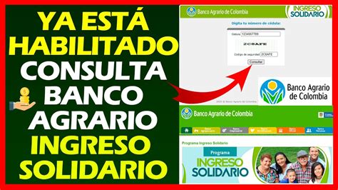 Ya está habilitado Consulta Banco Agrario Ingreso Solidario Consulte