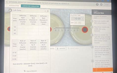 Solved DIFFUSION EFFECT OF CONCENTRATION ON THE RATE OF Chegg