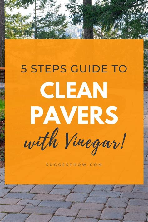 How To Clean Pavers With Vinegar Follow 5 Easy Steps Pavers