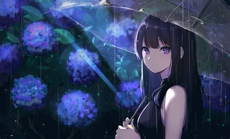 アニメの女の子、 雨、 傘、 前髪、 長い髪、 黒髪、 紫の目、 Hdデスクトップの壁紙 Wallpaperbetter