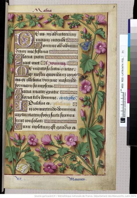 Horae Ad Usum Romanum Dites Grandes Heures D Anne De Bretagne