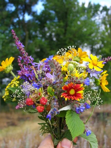 Wildflower bouquet Stock Photos, Royalty Free Wildflower bouquet Images ...