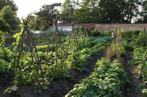 Calke Abbey, Kitchen Garden | Parks and Gardens (en)