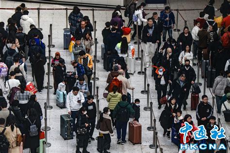 春節黃金周逾143萬旅客訪港 內地客超2018年水平 頭條 香港中通社