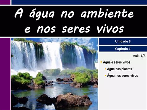 Gua Na Natureza E Nos Seres Vivos Ppt