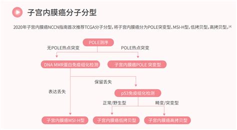 妇科肿瘤 鼎晶生物 让医疗更有效肿瘤基因检测