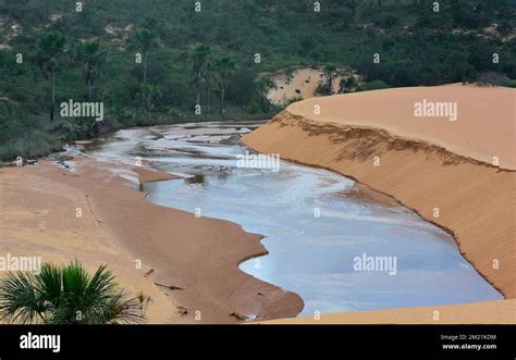 Parque Paradisiaco Hi Res Stock Photography And Images Alamy