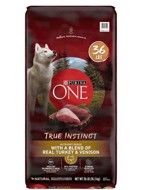 10 Best Turkey Dog Foods in 2023 – Reviews & Top Picks | Pet Keen