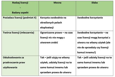 Licencja W Projektach Ue Rozliczanie Dofinansowa