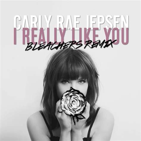 Carly Rae Jepsen I Really Like You Bleachers Remix Lyrics Genius