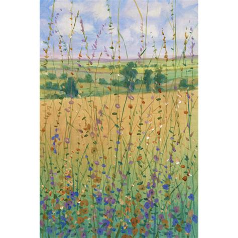 Winston Porter Wildflower Path II On Canvas By Tim OToole Print