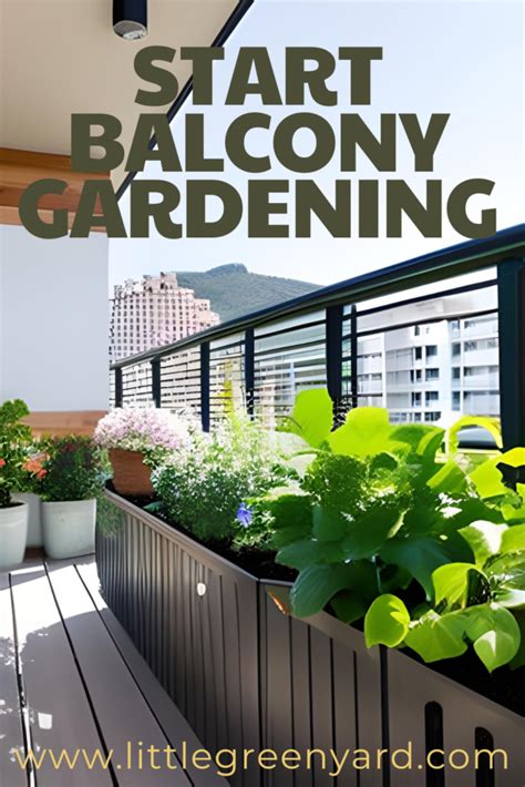 How to Start Balcony Gardening: Tips for Gardening Beginners