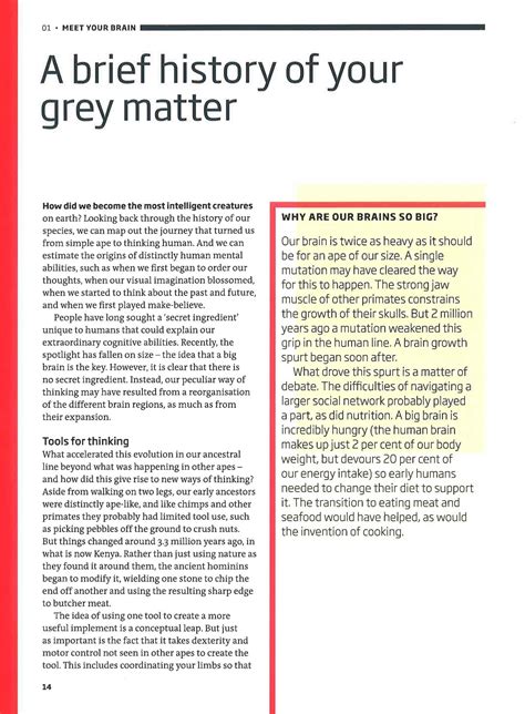 The Brain: Everything You Need To Know – BookXcess