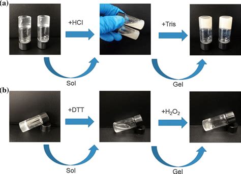 Solgel Transitions Of Dcmc Based Hydrogel In Response To Ph And Redox