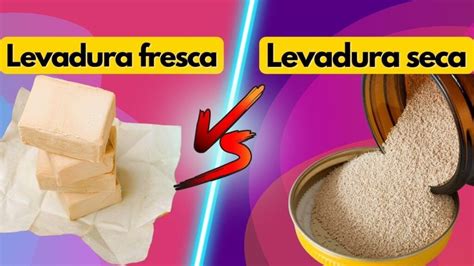 Diferencia Entre Levadura Fresca Y Seca Encuentra La Diferencia