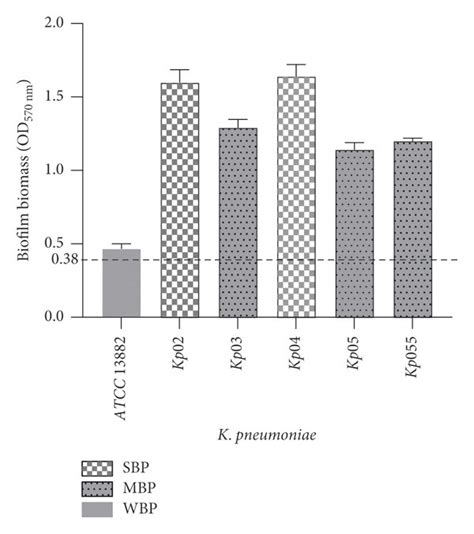 Biofilm Biomass Of K Pneumoniae Isolates Isolates Were Divided Into