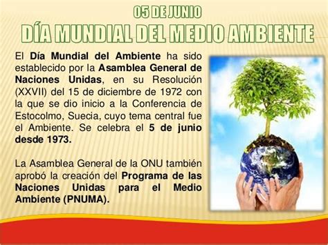 05 Junio DÍa Mundial Del Medio Ambiente