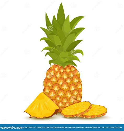 Whole Pineapple With Round Slices And Piece Isolated On White