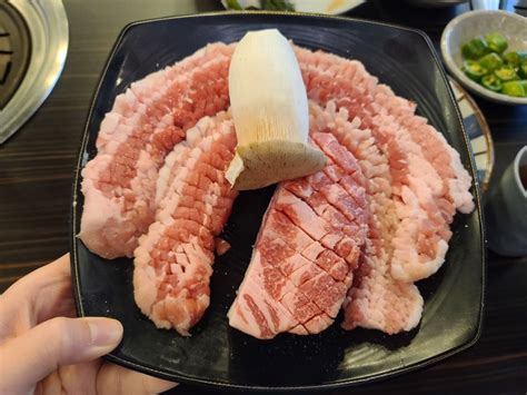 동탄 창심관 개나리공원 센트럴파크 삼겹살 맛집 네이버 블로그