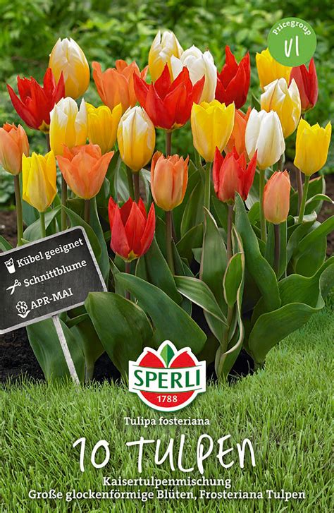 Tulpe Mischung St Ck Blumenzwiebeln Steckzwiebeln Kaufen