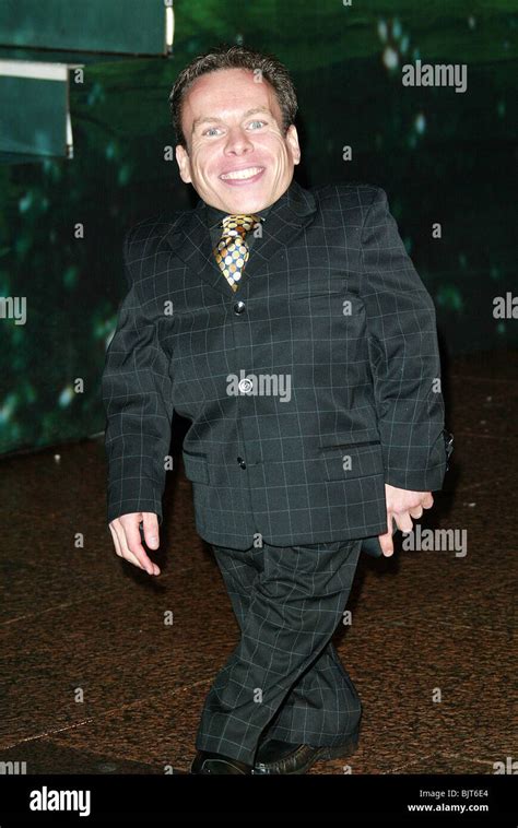 Warwick davis harry potter hi-res stock photography and images - Alamy