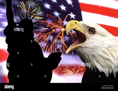 Patriotism in the USA Statue of Liberty Bald Eagle Stock Photo - Alamy