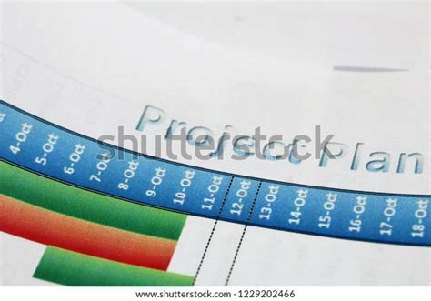 Project Plan Chart Stock Photo 1229202466 | Shutterstock