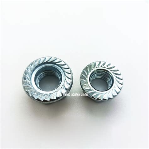 Wholesale Flange Nut Fastener Hex Hexagon Serrated Nut M M Zinc