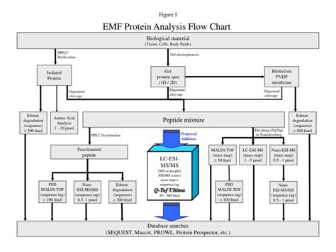 Ppt Emf Protein Analysis Flow Chart Powerpoint Presentation Free