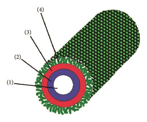 The Model Of The Structure For Tubular Immunostimulating Complex