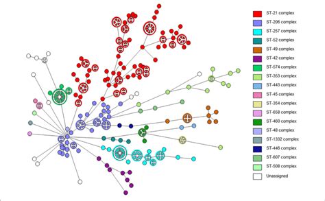 Wgmlst Based Phylogeny Of C Jejuni Isolates The Minimum