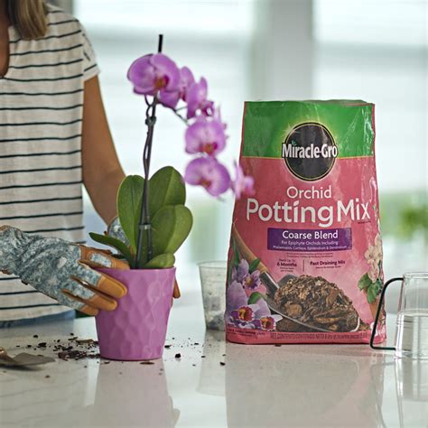 Miracle Gro Orchid Potting Mix