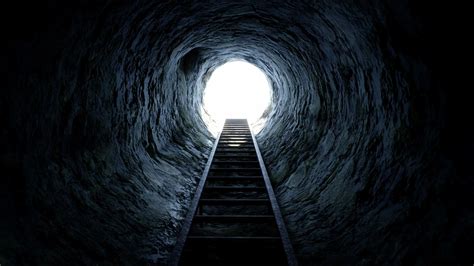 Tunnel in the ground, Aberdeen Pig Farm, New Hanover, USA. 1899