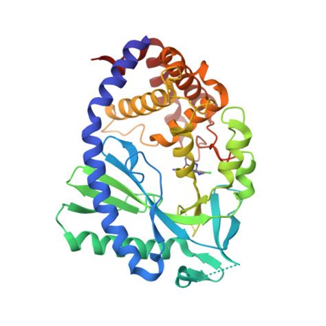 RCSB PDB 7FU9 Crystal Structure Of Human Cyclic GMP Synthase In