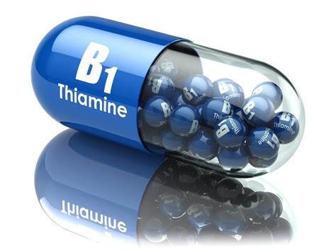 Vitamin B1 - Thiamine - Performadog Food